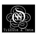 99toto