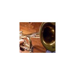 lonelytrumpet