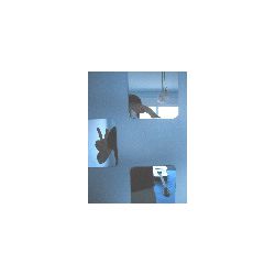 carpedien_hs