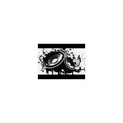 rhynout_hs