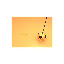 mr-freqkuency