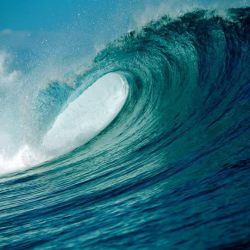 djsurf