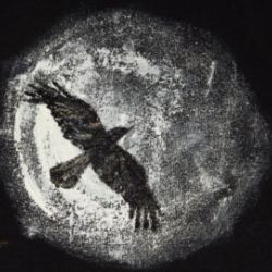 darkdreamm