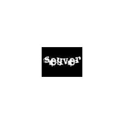 seyver_hs