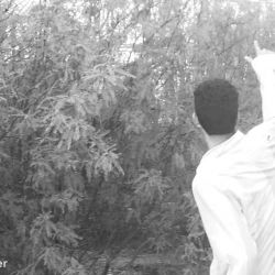 whitescene_hs