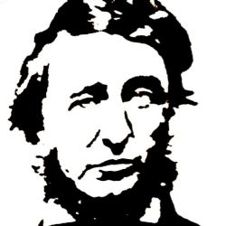 cjitter