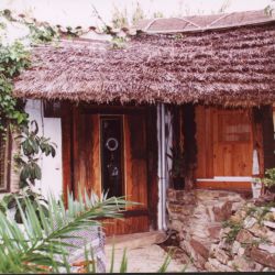 puntapalomaestudios