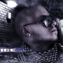 the_feice
