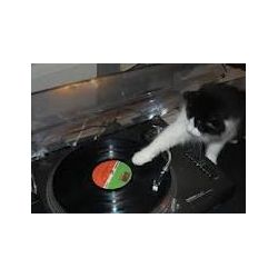 djsehz