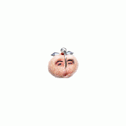 xerpe