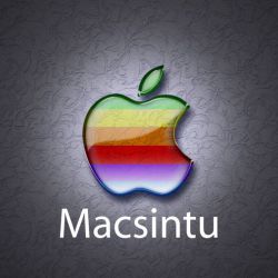 mcsintu