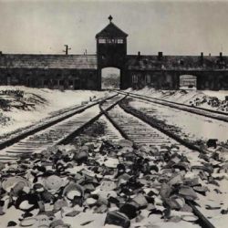 sonderkommando666