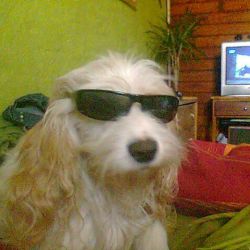 miguelonn