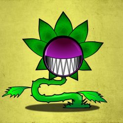 ebenknot