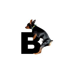 belbo