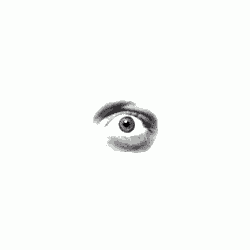 jmnoise