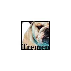 tremen_hs