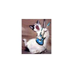 jevi_hs