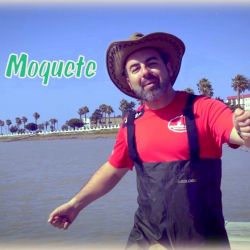 moquete