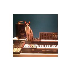 taikpod