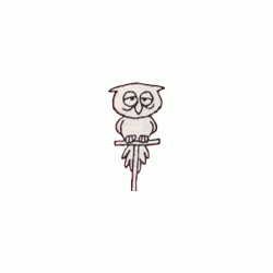 quebone