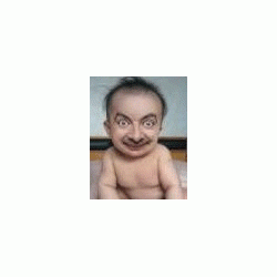 zetapedo