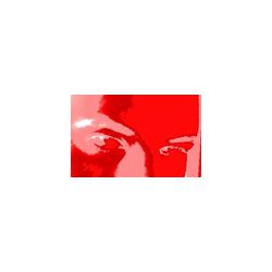 branx_accorn