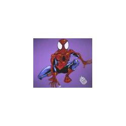 spiderman_hs