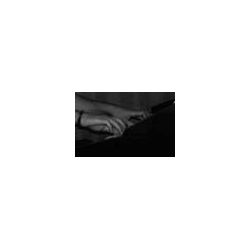 _parsifal