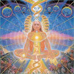 divinorum