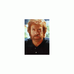 chucknorris