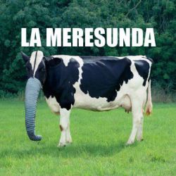 lameresunda