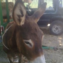 richar_76