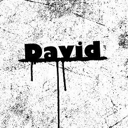 thedavid14