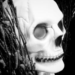 more_death