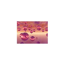 modulay