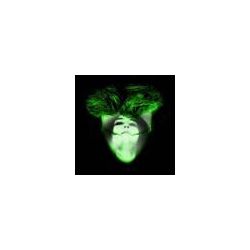 zghoulmx
