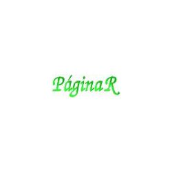 pagina-r