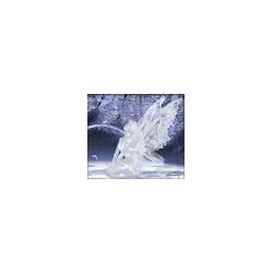 icewoman1