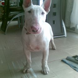 diegodelvecindario