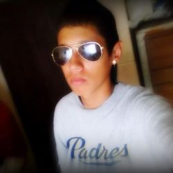 littlebrawer
