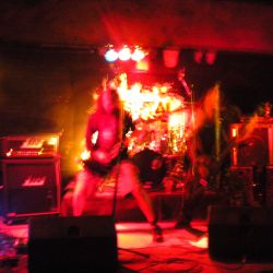 flakbruto