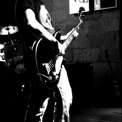 tonybass