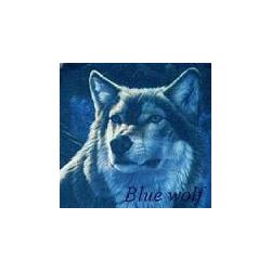 diegobluewolf
