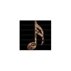 musicopro2