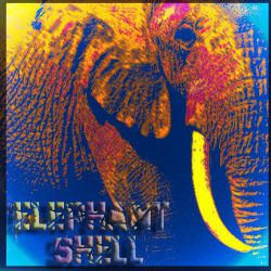 elephantshell