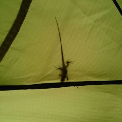 crisfercofre