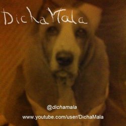 dichamala