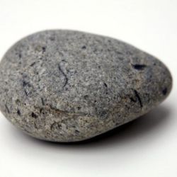 gregalonso