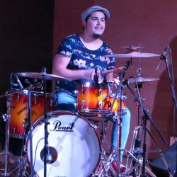 felidrums